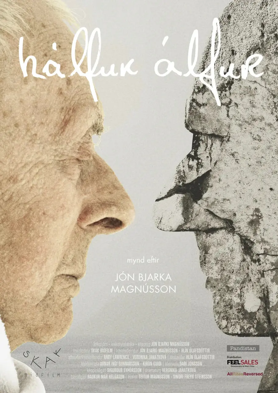 《半精灵》：一场跨越种族的爱恋史诗，奇幻冒险下的真挚情感抉择！